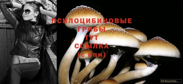винт Абдулино