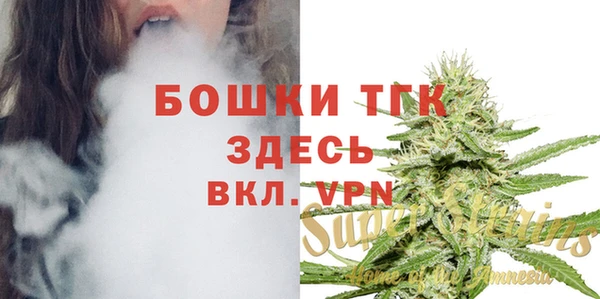 МДПВ Алексеевка